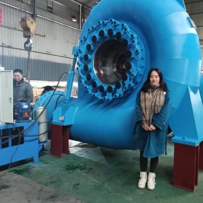 China Reliable Water Turbine Generator For Various Speeds And Frequencies for sale