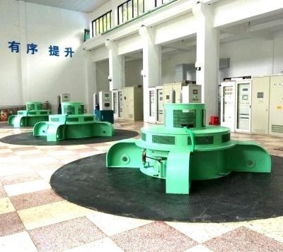 중국 수력 발전소를 위한 1 밀리와트 다이나모 / 카플란 수차 발전기 낮은 물높이 판매용