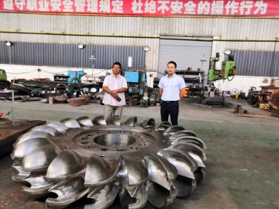 China De Turbogenerator de Micro- van Francis Kaplan Hydro Turbine Generator 200rpm 300rpm Pelton Hydroturbine van Pelton Te koop