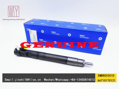 China Delphi Genuine Common Rail Injector EMBR00301D R00301D for Ssangyong Actyon Rexton Rodius 6710170121 A6710170121 for sale
