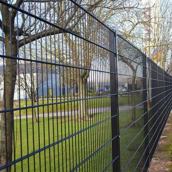 Quality 200X50mm hot dipped galvanized Welded Mesh Fencing 6/5/6 8/6/8 Double Wire Mesh for sale