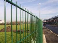 Quality 200X50mm Welded Mesh Fencing 6/5/6 8/6/8 Double Wire Mesh Fence processing pvc for sale