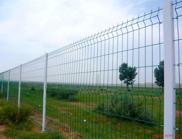 Quality 200X50mm Welded Mesh Fencing 6/5/6 8/6/8 Double Wire Mesh Fence processing pvc for sale