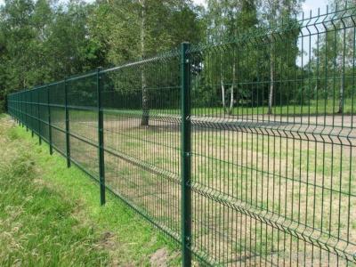 China Factory Supply 3D PVC Coated Curved Galvanized Welded Wire Mesh Privacy Garden Bending Fence Panel For Sale for sale