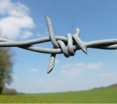 China 16G galvanized wire barbed fencing 100m, 250m 500m 1.6mm barbed wire fence price per roll zu verkaufen