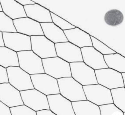China Galvanized hexagonal wire netting Iron wire mesh for sale