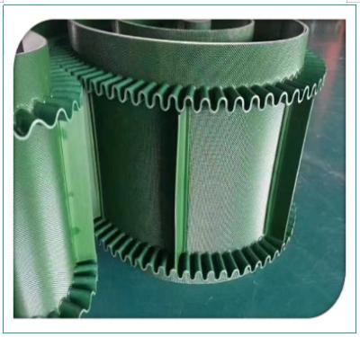 China Correia transportadora lisa do verde do PVC do grampo do Sidewall com a saia na cor diferente à venda
