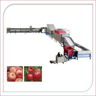 China Automatic Electronic Fruit Washing And Waxing Machine 5MT/H for sale