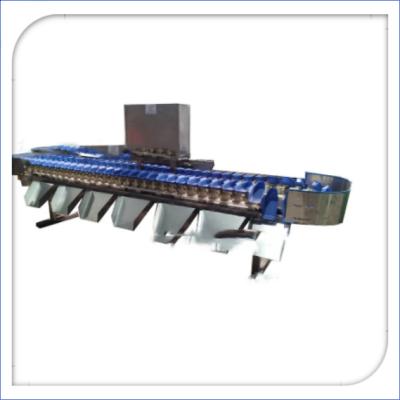 China Automatic Electronic Fruit Sorter Ande Weigh Machine for sale