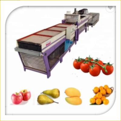 中国 アボカドの乾燥および等級分けの分類機械にワックスを掛けるオレンジ フルーツの洗浄 販売のため