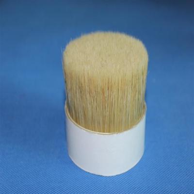 China Chungking White Double Boiled Bristles 76mm Wild Pure For Paint Brushes for sale
