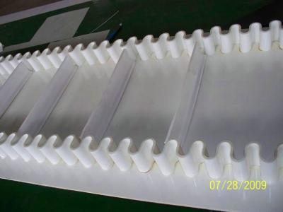 China Sidewall conveyor belt for food industry from China factory for free samples for sale