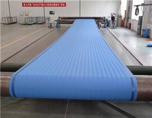 China Professional 100% polyester sludge detatering belt  for waste water sludge dewatering for sale