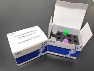 중국 측면 플로우 면역 검정 COVID-19 빠른 항원 시험 카세트 판매용