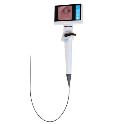China 2.8mm 3.8mm Digital Endoscope Camera Video Digital Electronic Flexible for sale