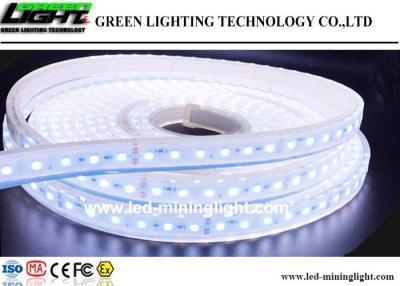 China Flexible Silica Gel Outdoor Led Strip Lights Waterproof , Cool White Led Strip Lights for sale