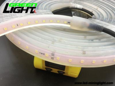 China IP68 6500K SMD5050 Waterproof Led Strip Lights 12V RGB ATEX for sale