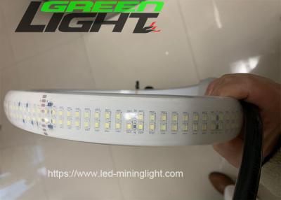 中国 2230lum/m Silicone Led Strip Light Double Row DC36V SMD5050 30W/M 販売のため