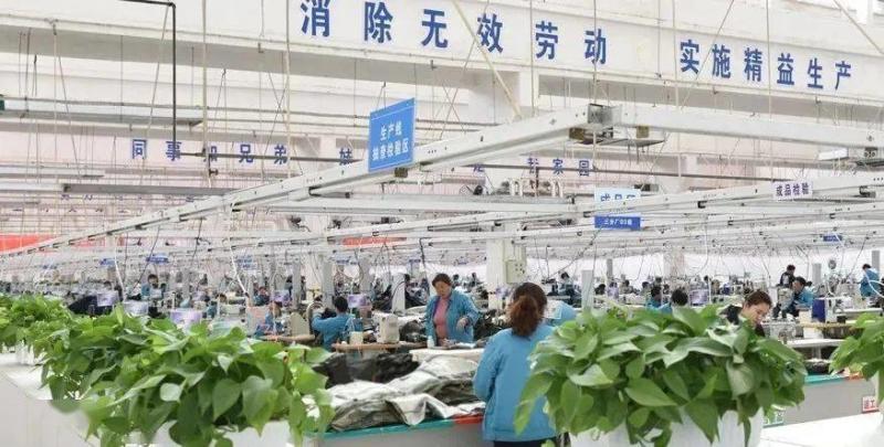 Verified China supplier - Chengdu Began Trading Co., Ltd.