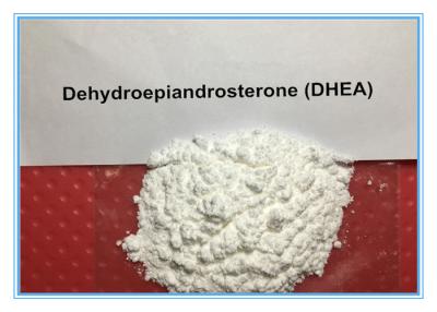 China Dehydroisoandrosterone DHEA Muscle Gaining 99% Purity Strong Effect 53-43-0 for sale