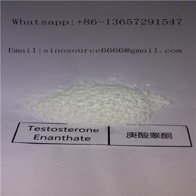 China Anabolic Steroid Testosterone Enanthate Raw Powder For Muscle Building CAS 315-37-7 for sale