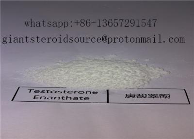 China 250 Mg/Ml Premade Injectable Anabolic Steroids Oil Testosterone Enanthate Enanject 250 for sale