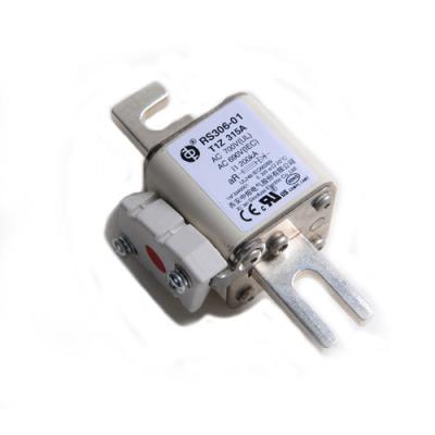 China Rail Transit Electric Vehicles Ship Electricity Ceramic Auto Fuses RS306 690V for sale
