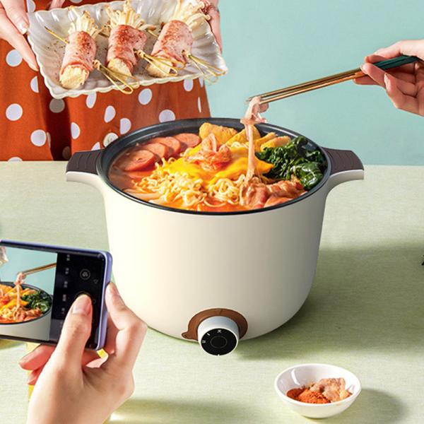 Quality Multi Function Electric Hot Pot Cooker 250W For Convenient Cooking for sale