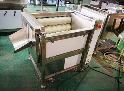 China automatic commercial carrot/ginger/potato/fish/Hawthorn washing and polishing machine for sale