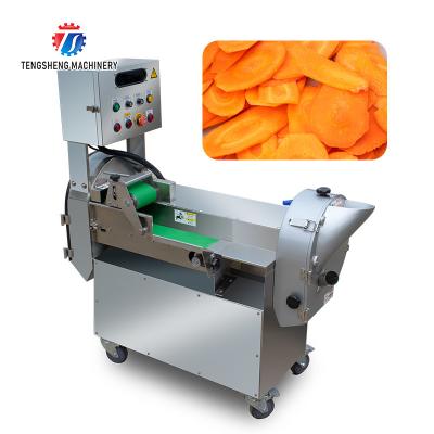China Tengsheng Infeed Chute Fruit Processing Machine Cucumber Lime Fracturing Avoidance for sale