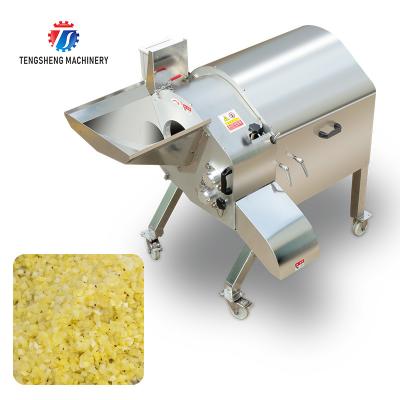 China 1000KG/H Professional fruit and vegetable dicing machine large yield lotus root dicing machine radish dicing machine for sale