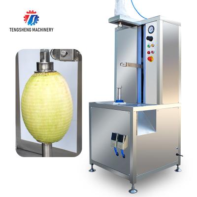 China Procesador de alimentos eléctrico industrial de la máquina de Peeler de la fruta y verdura de la sandía 1.0KW en venta