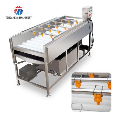 China 2.5KW Vegetable Parallel Roller Cleaning Machine High Pressure Spray Fruit Washing Machine for sale