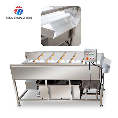 China Vegetable Potato Parallel Hair Roller Cleaning Machine 1200kg/h for sale