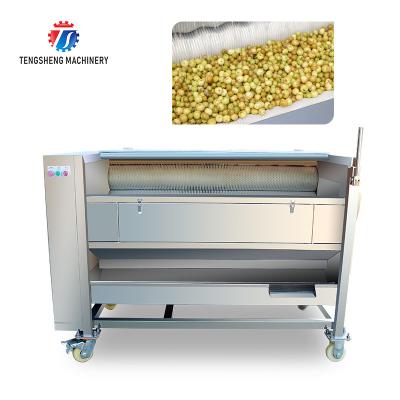 China 250KG 380V Carrot brush cleaning and peeling machine brush cleaning machine potato peeling machine for sale