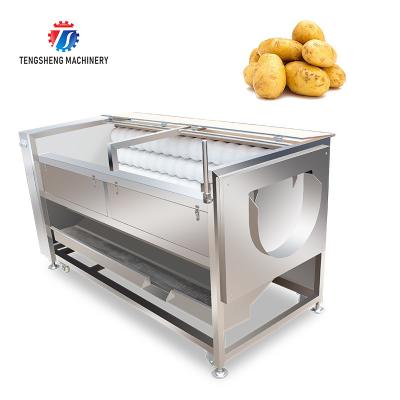 China 360KG Hair roller cleaning machine wavy brush Cassava cleaning machine commercial ginger peeling machine for sale