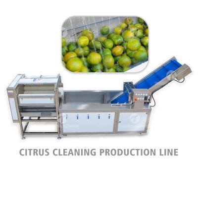 China Air Brush Cleansing Citrus Processing Line ,  Anti Abrasion Sullage Removal Potato Processing Line for sale