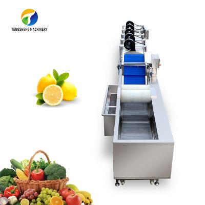 China Customized Driven Pesticide Exclude Vegetable Processing Line , Centrifuging Tomato Processing Line for sale