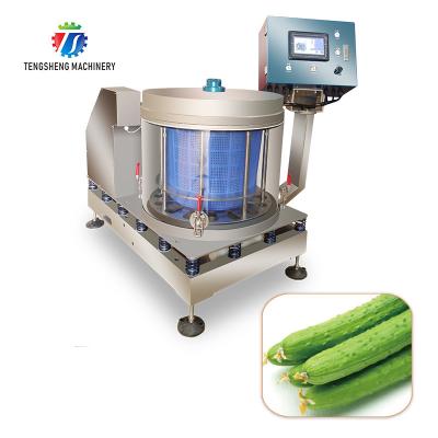 China Industrial Food Processing Fruit Dehydrator Vegetable Drying Machine for sale