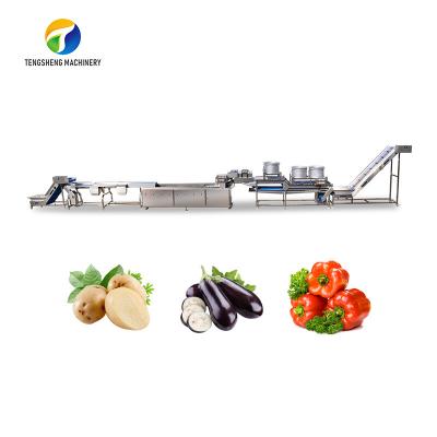 China 1500KG/H Fruit And Vegetable Processing Line cleaning Sorting Machine for sale