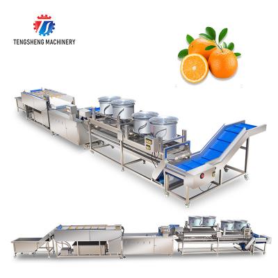 China Fruit And Vegetable Wool Roller Bubble Cleaning Machine 1500KG/H for sale