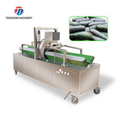 China 2.2KW 350KG Large wax gourd peeling machine wax gourd peeling thickness adjustable wax gourd peeling equipment for sale
