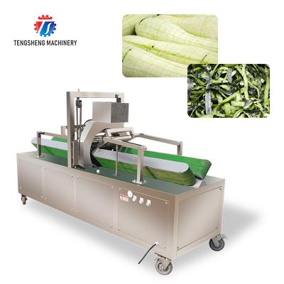 China 350KG 2.2KW Large wax gourd equipment wax gourd equipment automatic wax gourd peeling machine wax gourd peeling for sale