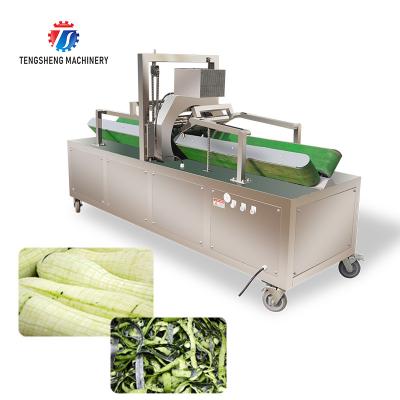 China 350KG 2.2KW Winter Melon Wax Gourd Vegetable Peeling Machine Horizontal Kitchen Equipment for sale