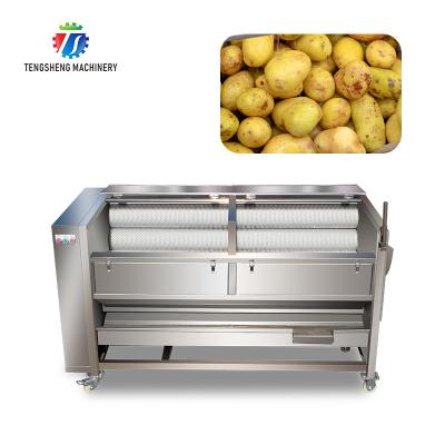 China 1500mm Brush Roller Potato Washing And Peeling Machine for sale
