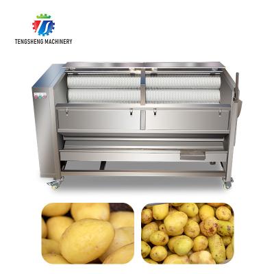 China Industrial 1500KG/H Potato Washing And Peeling Machine Vegetable Brush Roller Cleaning Equipment for sale