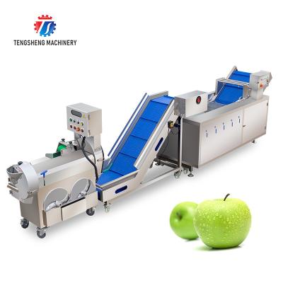 China Supermarket Fruit And Vegetable Processing Line Cutting Lifting Washing for sale