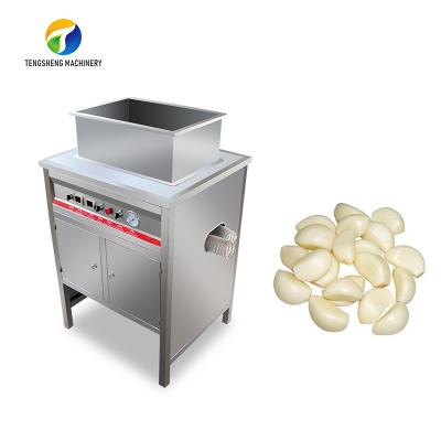 China 2.2KW Garlic Peeling Machine Industrial Factory Food Processor for sale