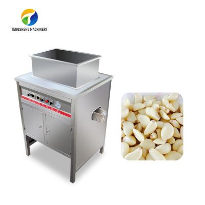 China OEM Electric Garlic Processing Machine Skin Removing Equipment for sale