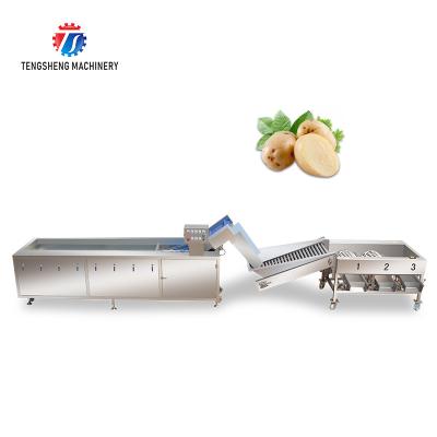 China 3KW 50HZ Fruit And Vegetable Processing Line Washing Sorting Machine for sale